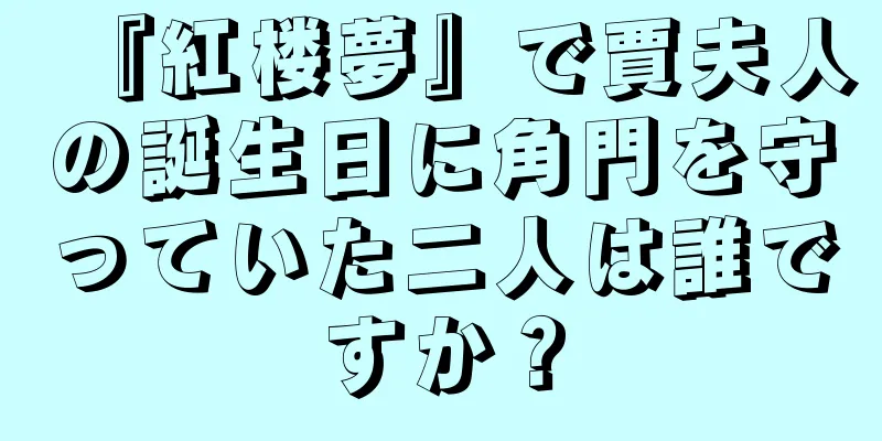 『紅楼夢』で賈夫人の誕生日に角門を守っていた二人は誰ですか？