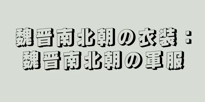 魏晋南北朝の衣装：魏晋南北朝の軍服