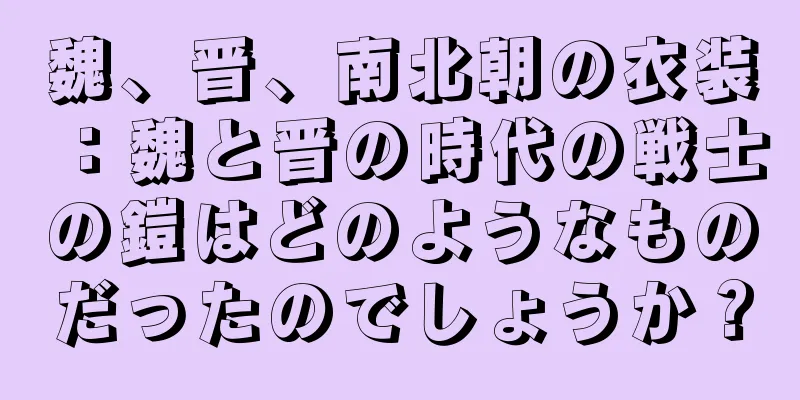 魏、晋、南北朝の衣装：魏と晋の時代の戦士の鎧はどのようなものだったのでしょうか？