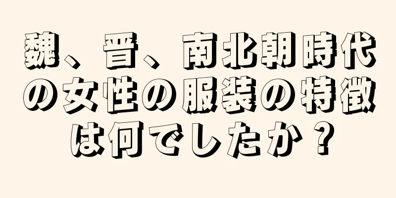 魏、晋、南北朝時代の女性の服装の特徴は何でしたか？