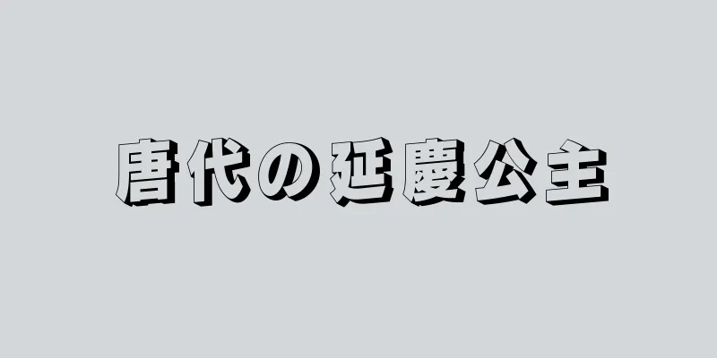 唐代の延慶公主