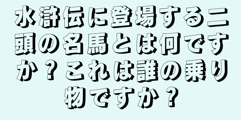 水滸伝に登場する二頭の名馬とは何ですか？これは誰の乗り物ですか？