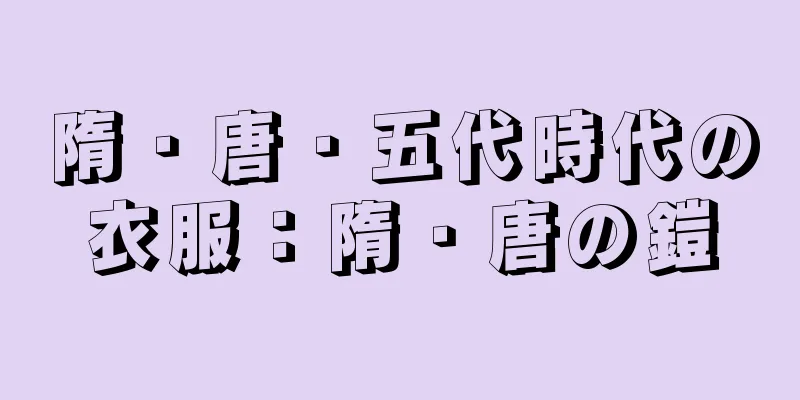 隋・唐・五代時代の衣服：隋・唐の鎧