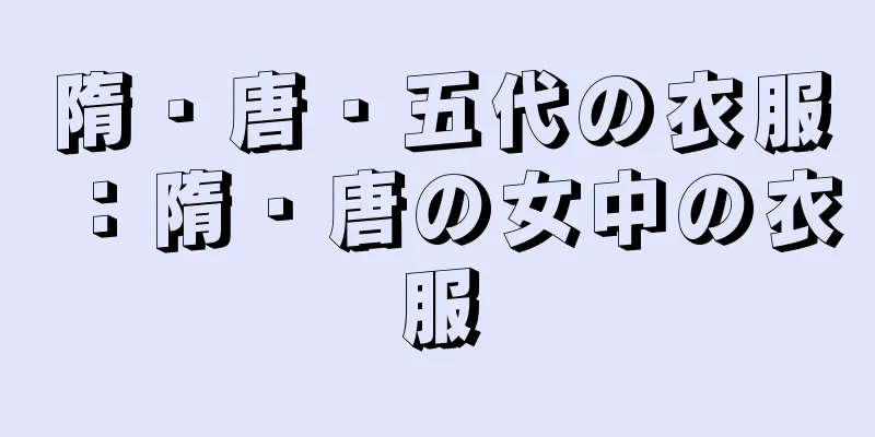 隋・唐・五代の衣服：隋・唐の女中の衣服