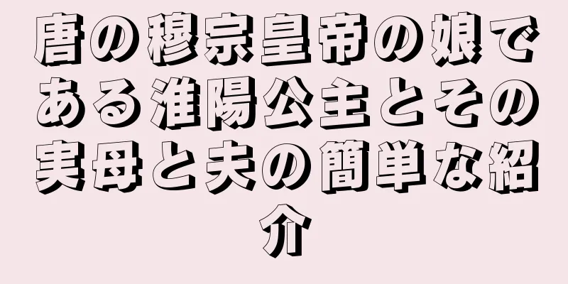 唐の穆宗皇帝の娘である淮陽公主とその実母と夫の簡単な紹介