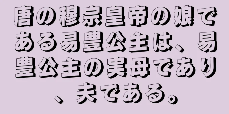 唐の穆宗皇帝の娘である易豊公主は、易豊公主の実母であり、夫である。