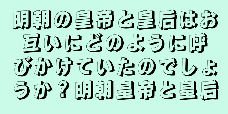 明朝の皇帝と皇后はお互いにどのように呼びかけていたのでしょうか？明朝皇帝と皇后