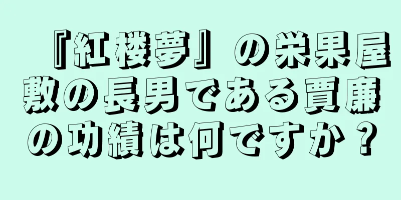 『紅楼夢』の栄果屋敷の長男である賈廉の功績は何ですか？