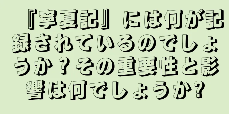 『寧夏記』には何が記録されているのでしょうか？その重要性と影響は何でしょうか?
