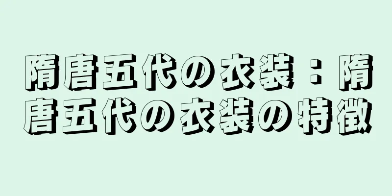 隋唐五代の衣装：隋唐五代の衣装の特徴