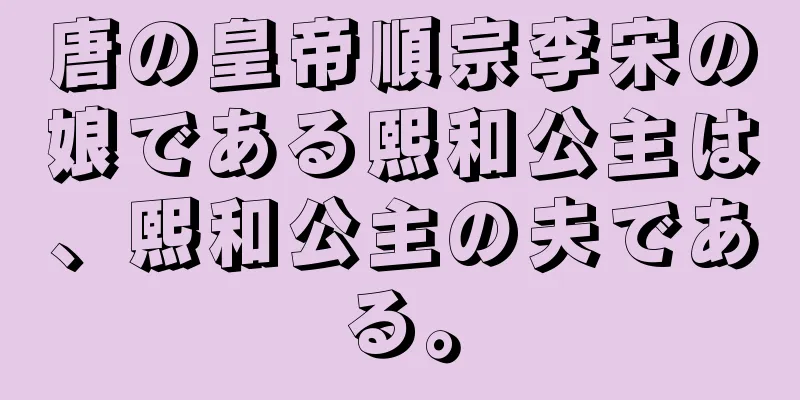 唐の皇帝順宗李宋の娘である熙和公主は、熙和公主の夫である。