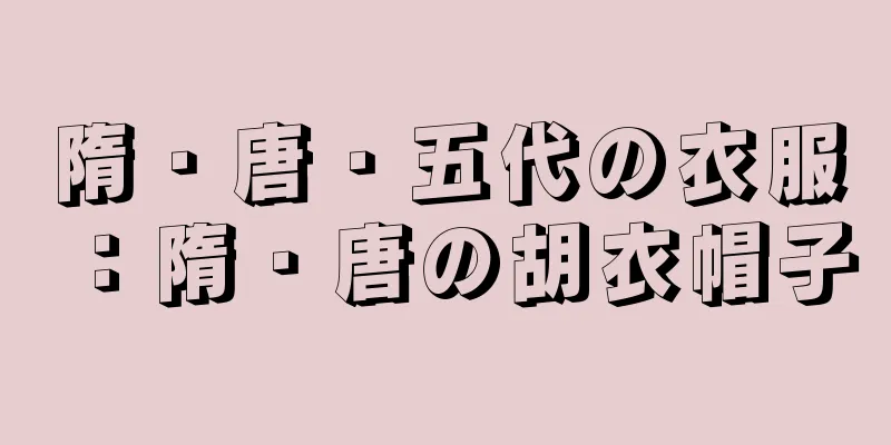 隋・唐・五代の衣服：隋・唐の胡衣帽子