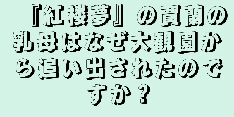 『紅楼夢』の賈蘭の乳母はなぜ大観園から追い出されたのですか？