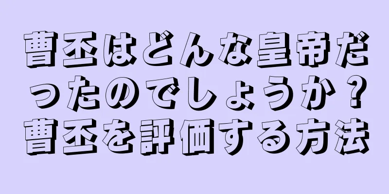 曹丕はどんな皇帝だったのでしょうか？曹丕を評価する方法