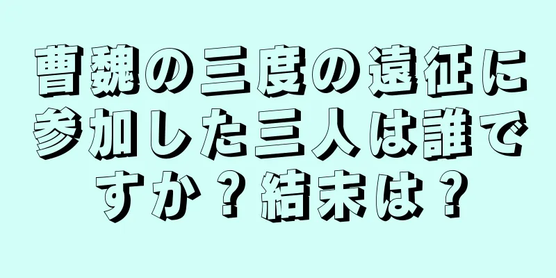 曹魏の三度の遠征に参加した三人は誰ですか？結末は？