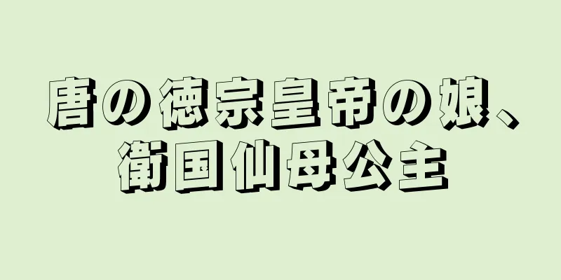 唐の徳宗皇帝の娘、衛国仙母公主