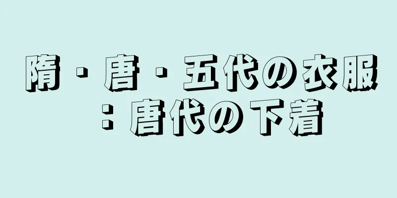隋・唐・五代の衣服：唐代の下着