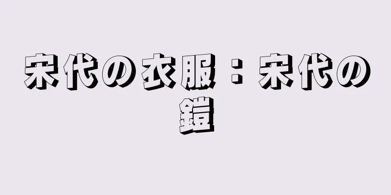 宋代の衣服：宋代の鎧