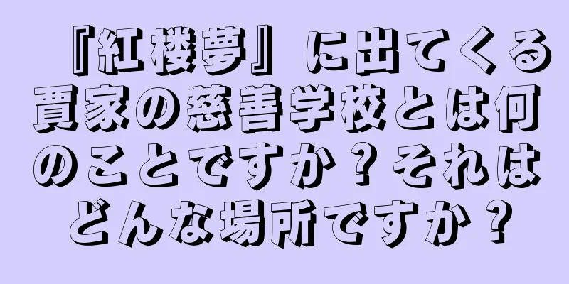 『紅楼夢』に出てくる賈家の慈善学校とは何のことですか？それはどんな場所ですか？