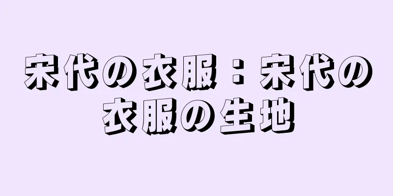 宋代の衣服：宋代の衣服の生地