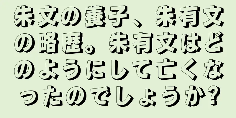 朱文の養子、朱有文の略歴。朱有文はどのようにして亡くなったのでしょうか?
