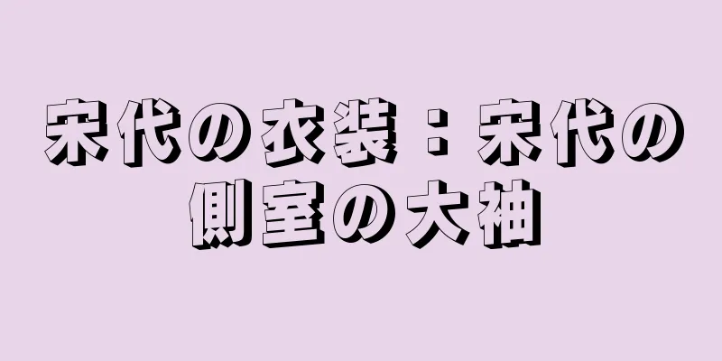 宋代の衣装：宋代の側室の大袖