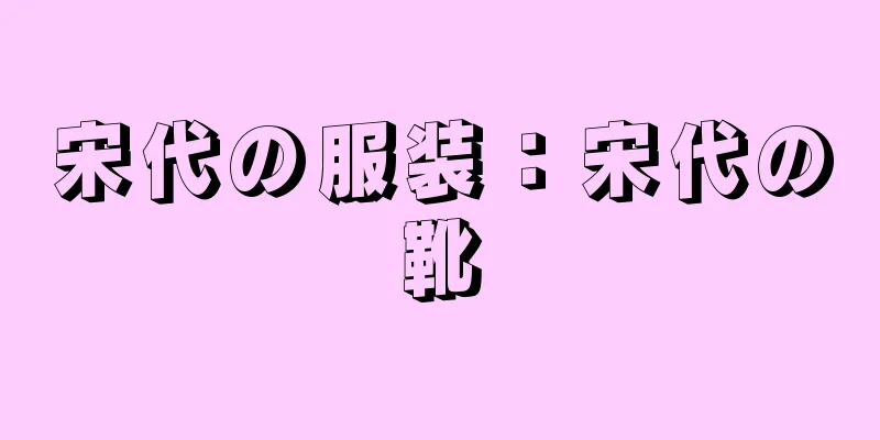 宋代の服装：宋代の靴