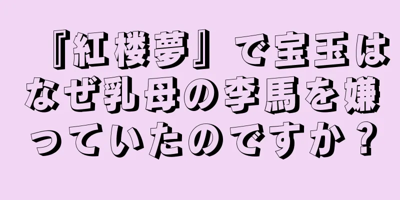 『紅楼夢』で宝玉はなぜ乳母の李馬を嫌っていたのですか？