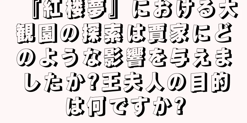 『紅楼夢』における大観園の探索は賈家にどのような影響を与えましたか?王夫人の目的は何ですか?