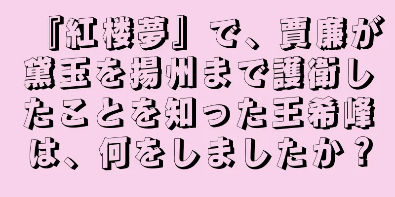 『紅楼夢』で、賈廉が黛玉を揚州まで護衛したことを知った王希峰は、何をしましたか？