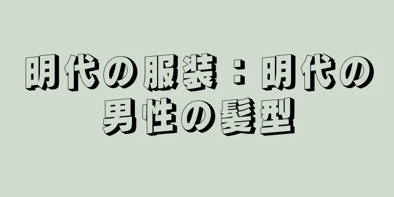 明代の服装：明代の男性の髪型