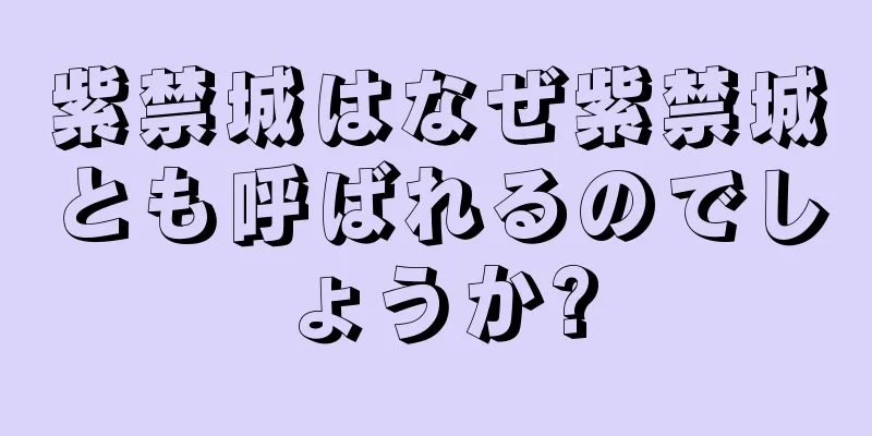 紫禁城はなぜ紫禁城とも呼ばれるのでしょうか?