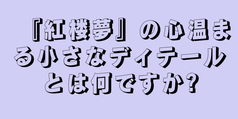 『紅楼夢』の心温まる小さなディテールとは何ですか?