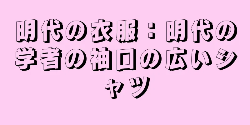 明代の衣服：明代の学者の袖口の広いシャツ
