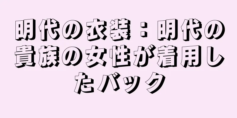 明代の衣装：明代の貴族の女性が着用したバック