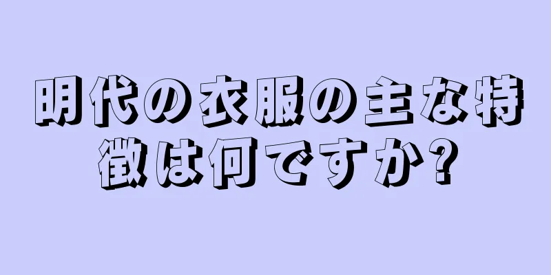 明代の衣服の主な特徴は何ですか?