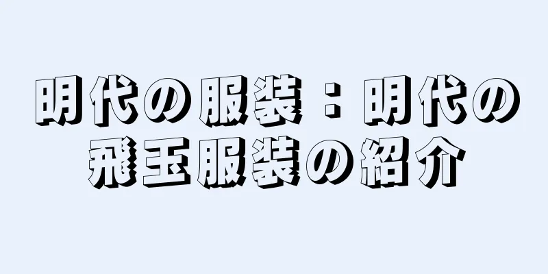 明代の服装：明代の飛玉服装の紹介