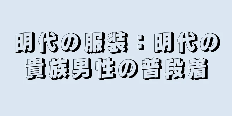 明代の服装：明代の貴族男性の普段着
