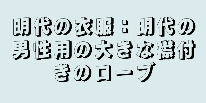 明代の衣服：明代の男性用の大きな襟付きのローブ