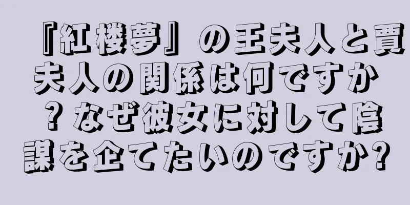 『紅楼夢』の王夫人と賈夫人の関係は何ですか？なぜ彼女に対して陰謀を企てたいのですか?