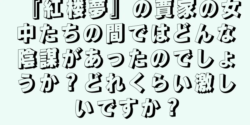 『紅楼夢』の賈家の女中たちの間ではどんな陰謀があったのでしょうか？どれくらい激しいですか？