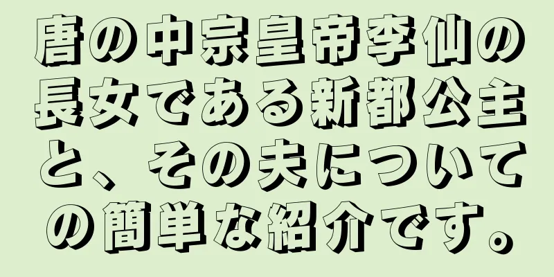 唐の中宗皇帝李仙の長女である新都公主と、その夫についての簡単な紹介です。