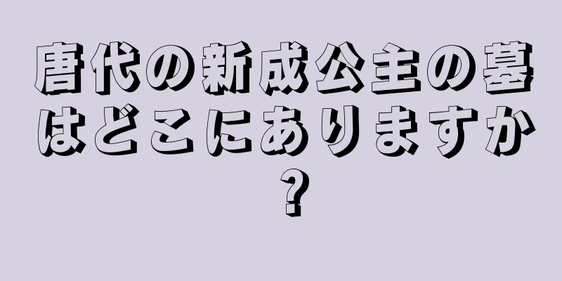 唐代の新成公主の墓はどこにありますか？