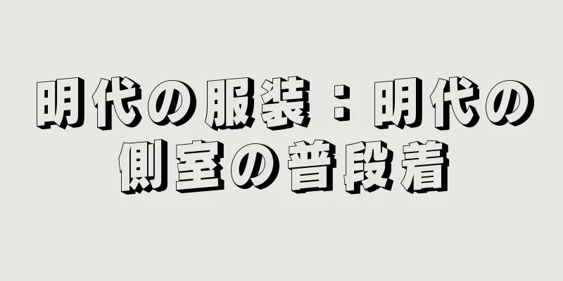 明代の服装：明代の側室の普段着