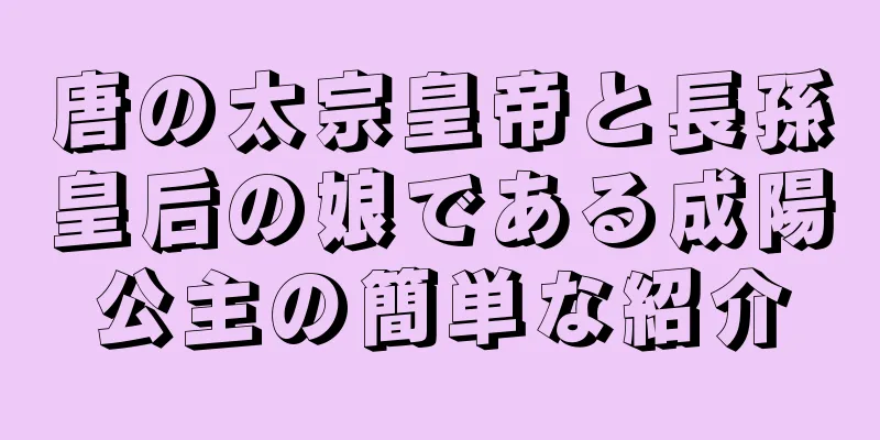 唐の太宗皇帝と長孫皇后の娘である成陽公主の簡単な紹介