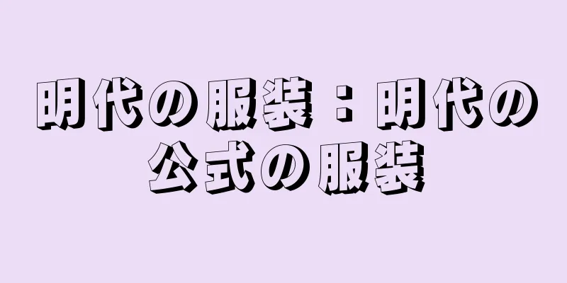 明代の服装：明代の公式の服装