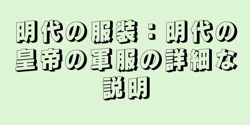 明代の服装：明代の皇帝の軍服の詳細な説明