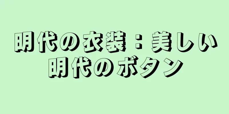 明代の衣装：美しい明代のボタン
