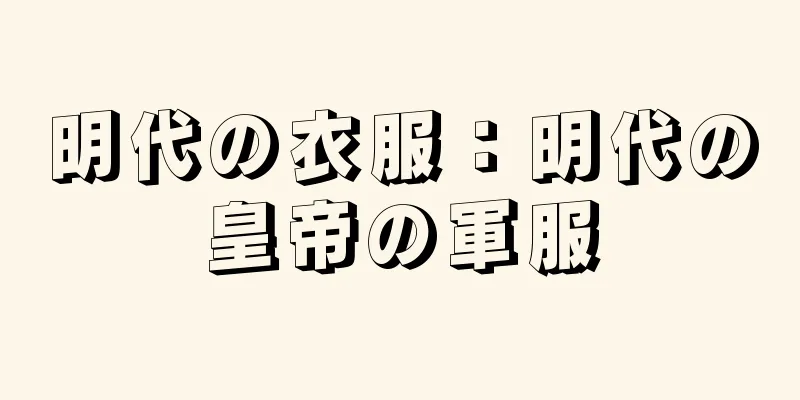 明代の衣服：明代の皇帝の軍服