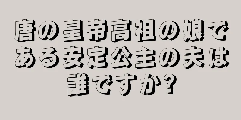 唐の皇帝高祖の娘である安定公主の夫は誰ですか?